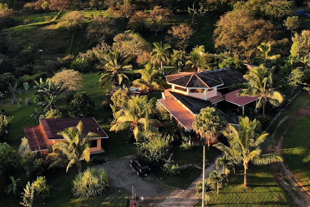 Finca Buena Vista
