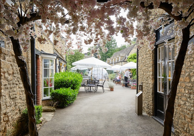 Macdonald Bear Hotel