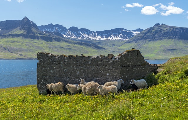 Útnyrðingsstaðir Guesthouse