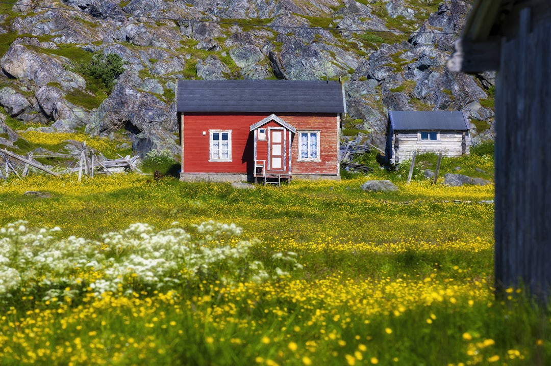 Voyage inoubliable au cœur de la Norvège