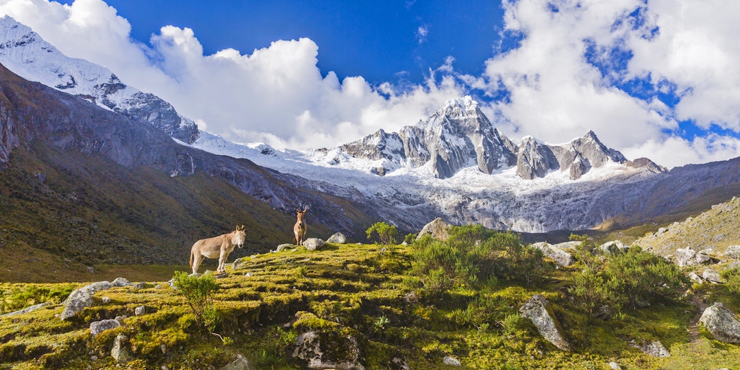 Santa Cruz Trek in Peru
