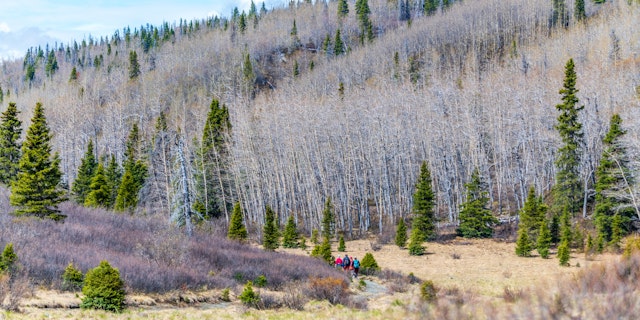 Kluane Nationalpark-5
