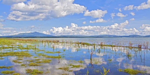 Naivasha-1