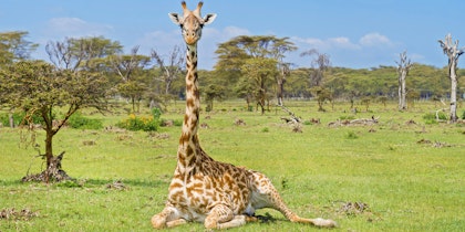 Circuit Kenya, Tanzanie et Zanzibar - Image 4