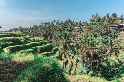 Voyage de luxe dans le sud de Bali - Image 4