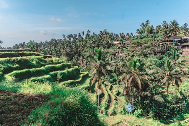 L’essence de Bali en 13 jours