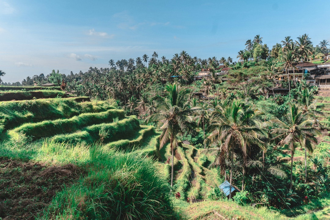 2 Wochen Bali Reise mit Guide über Ubud