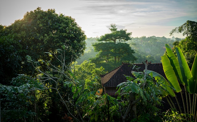 Ubud-3