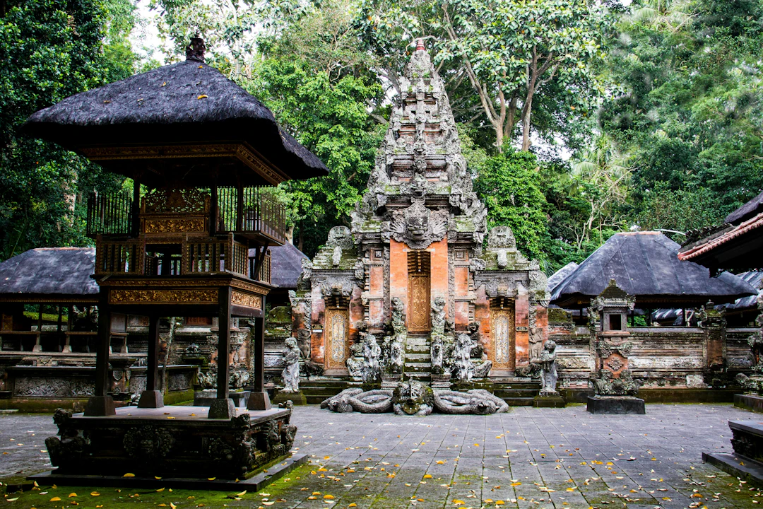Circuit à Java et Bali - main image