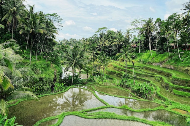 Bali Rundreise: Strände & Kultur in 2 Wochen