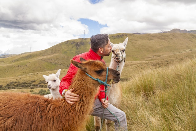 Quito-3