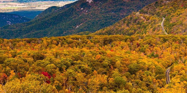 Shenandoah National Park-7