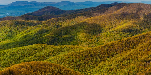 Shenandoah National Park-5
