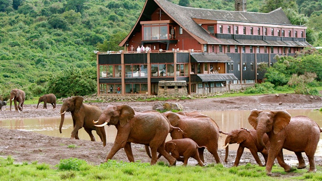 The Ark Lodge
