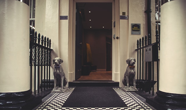 Best Western Plus Delmere Hotel