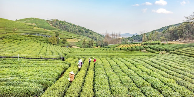 Hangzhou-3