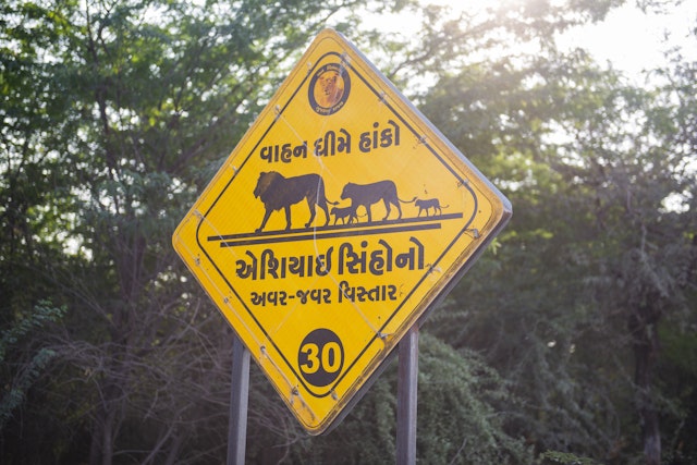 Gir National Park-1