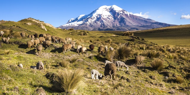 Riobamba-3