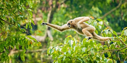  14 Tage Luxusurlaub im Ferienparadies Malaysia - Image 2