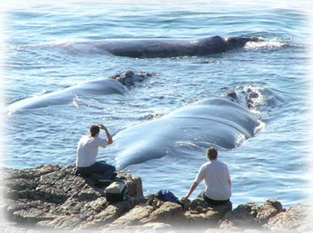 Misty Waves Boutique Hotel