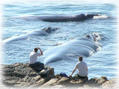 Misty Waves Boutique Hotel