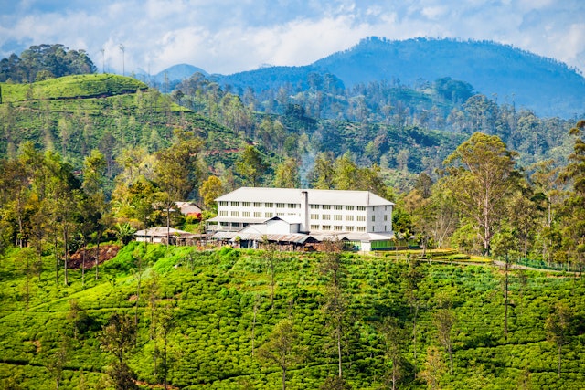 Nuwara Eliya-1