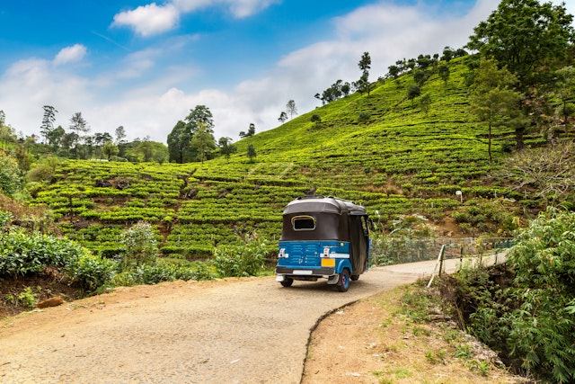 Nuwara Eliya-3