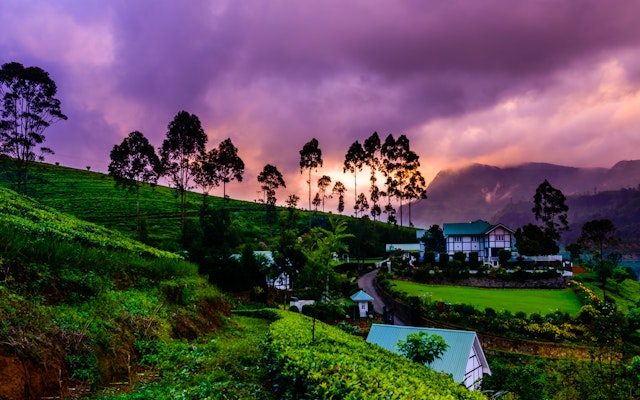 Nuwara Eliya-4