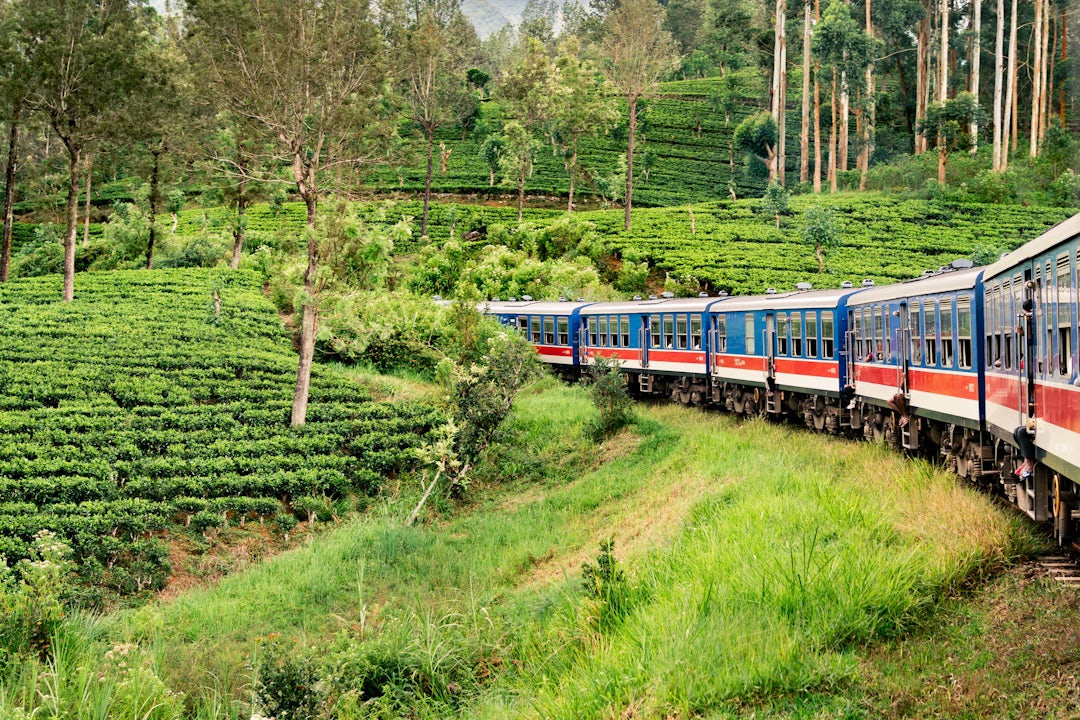 Sri Lanka Rundreise 2 Wochen 