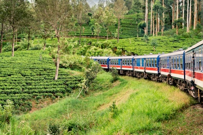 Sri Lanka Rundreise 2 Wochen: Unvergessliche Erlebnisse - Image 4