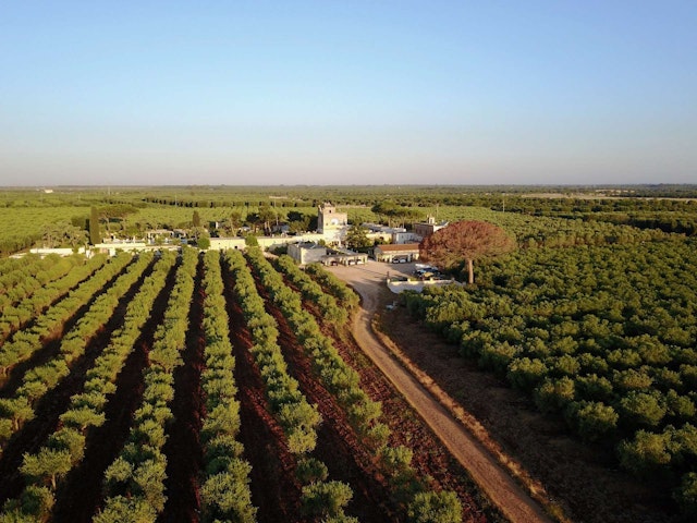 Agriturismo Tenuta Mazzetta