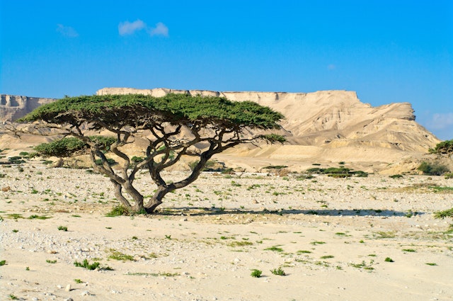 Wadi Shuwaymiyah-5