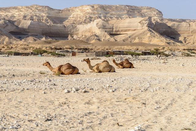 Wadi Shuwaymiyah-1