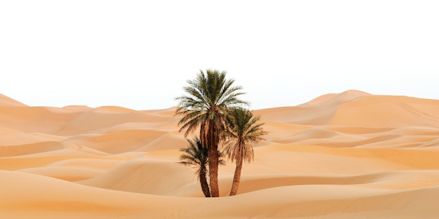 Erg Chebbi Desert-10