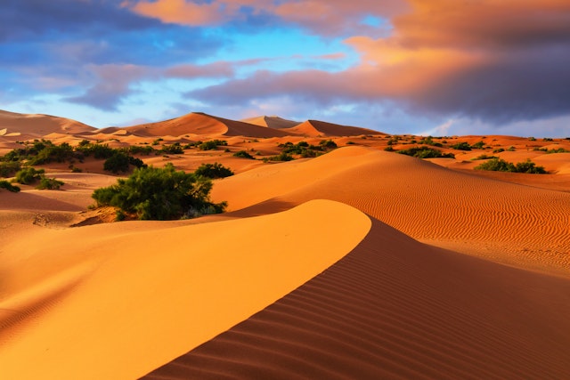 Erg Chebbi Desert-0