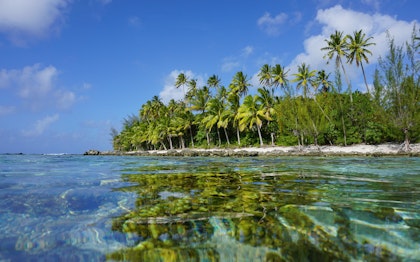 Circuit en Polynésie Française - Image 3