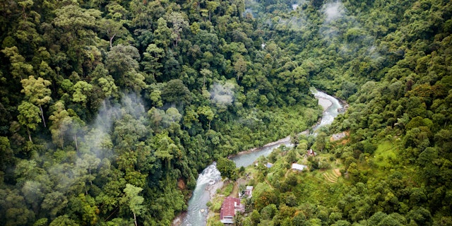 Bukit Lawang-1