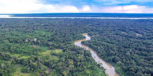 Amacayacu Natural National Park-2