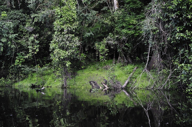 Amacayacu Natural National Park-1