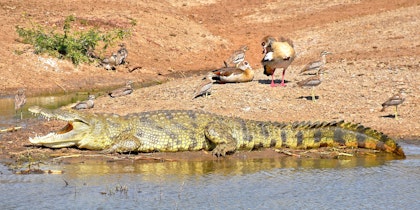 10 Tage Urlaub in Uganda - Image 3