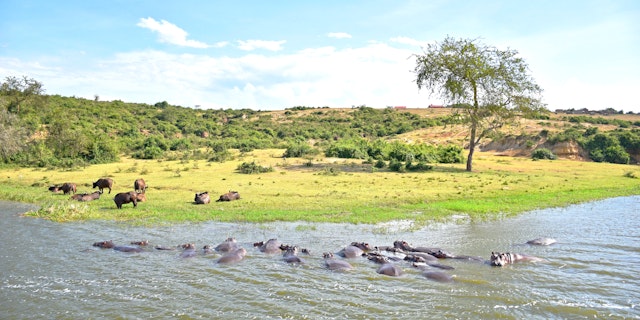 Northern Queen Elizabeth National Park-5