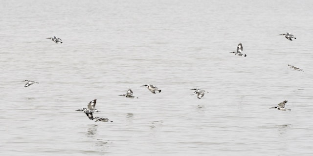 Northern Queen Elizabeth National Park-1