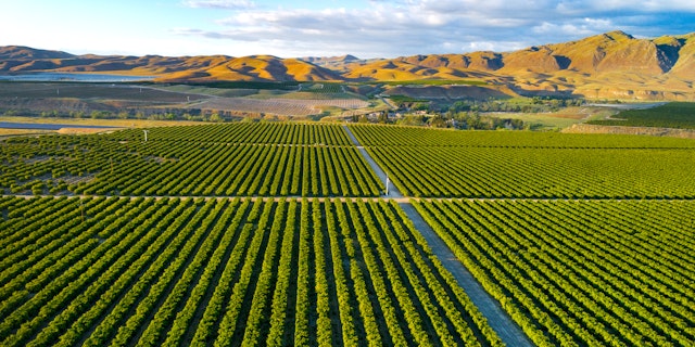 Bakersfield-5