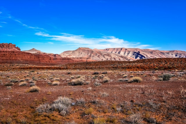 Bluff-1