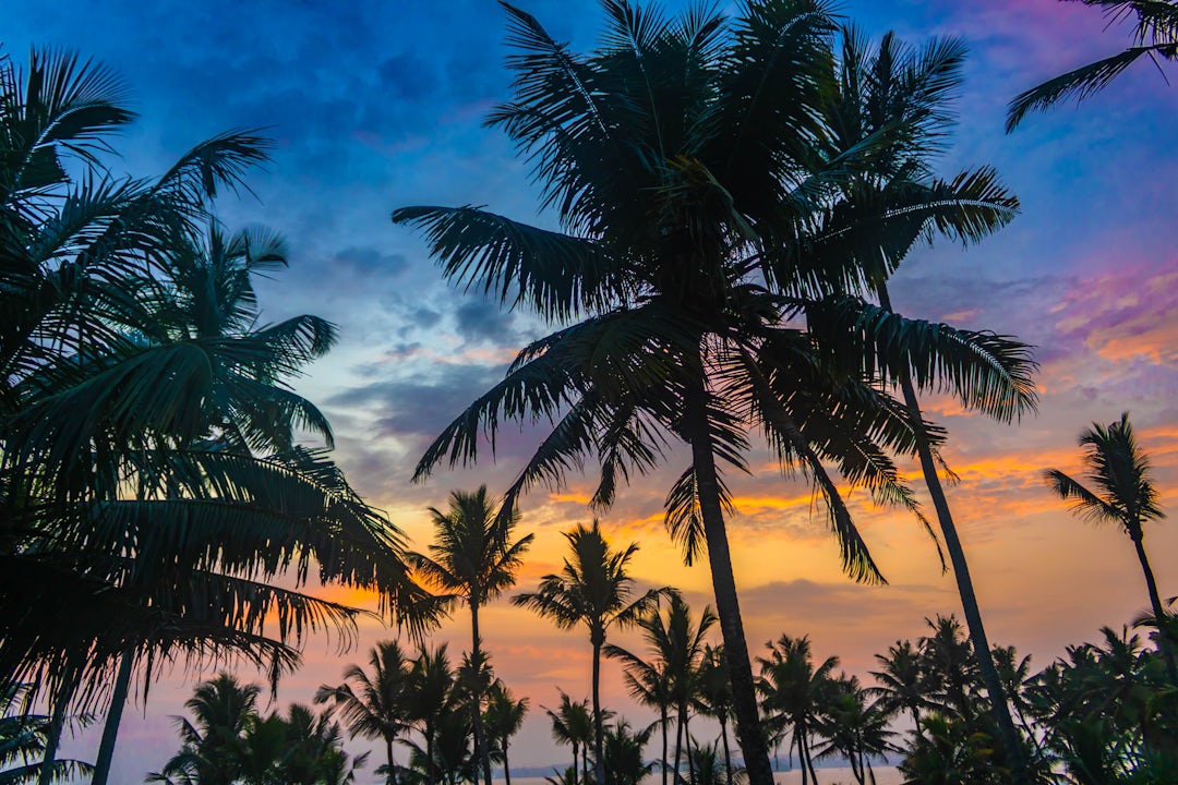 Voyage individuel au Sri Lanka