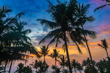 2 Wochen Sri Lanka: Kultur und Natur - Image 3