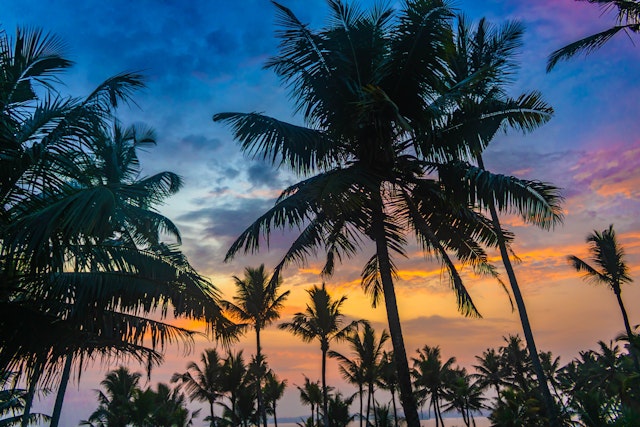 2 Wochen Sri Lanka: Kultur und Natur