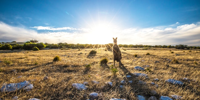 Kangaroo Island-9