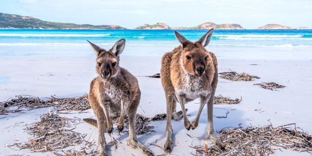 Kangaroo Island-1