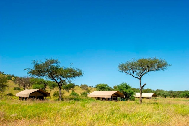 Ndutu Kati Kati Tented Camp